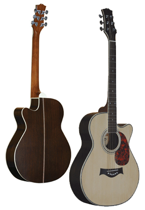Acoustic Guitars 40''