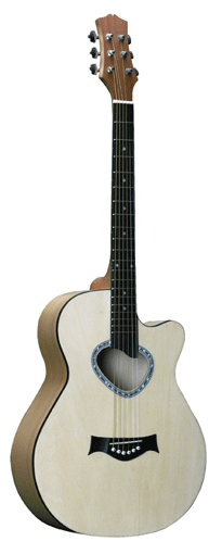 Acoustic Guitars 40