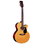 Acoustic Guitars 40