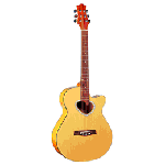 Acoustic Guitars 42