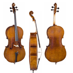 Middle Grade Cellos