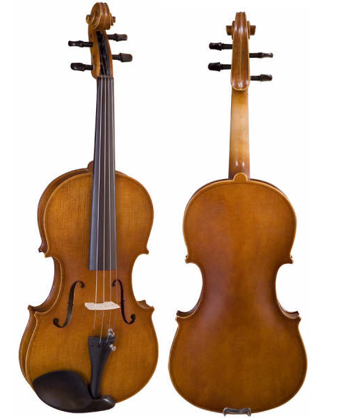 Popular Grade Violins